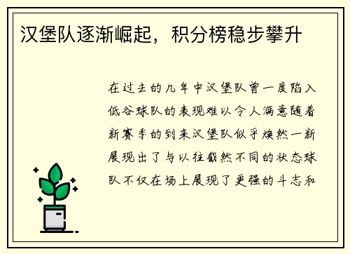 汉堡队逐渐崛起，积分榜稳步攀升