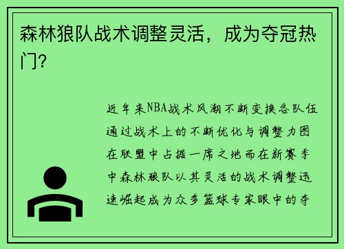 森林狼队战术调整灵活，成为夺冠热门？